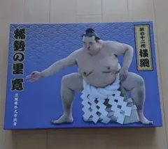 横綱 稀勢の里 バスタオル　相撲 大の里泰輝の師匠　親方