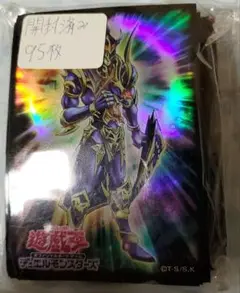 遊戯王公式スリーブ夏のGO！GO！カーニバル　カオスソルジャー　95枚