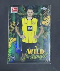 キェル　ベッチェン　Wild Jungle
