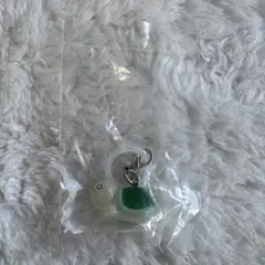 きらりんレボリューション めじるしアクセサリー カメさん