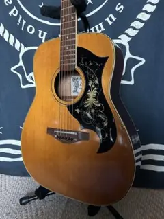 Elite by Takamine TW-25 '70年代ヴィンテージアコギ Elite by Takamine TW-25 '70年代ヴィンテージアコギ
