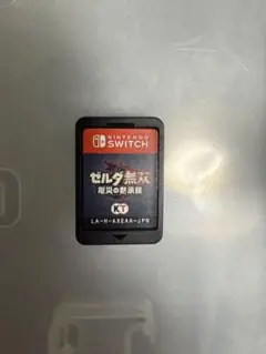 ゼルダ無双 厄災の黙示録 Nintendo Switch