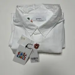 Item thumbnail for item 650d9400-fe48-418a-ae48-4322cc53a7b4