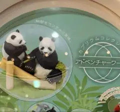アドベンチャーワールド　カプリウムコレクション　　パンダ　ガチャ