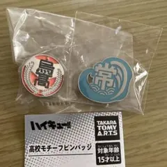 ハイキュー!! TO THE TOP 高校モチーフピンバッジ　烏野高校　常波高校