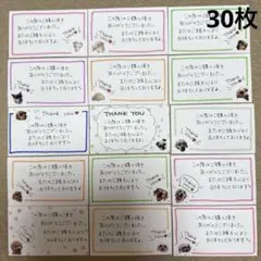 サンキューカード　犬　ネコ