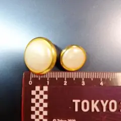 ボタン　2個　プラスチック