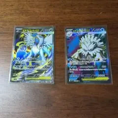 メガアブソルex メガユキノオーex SR