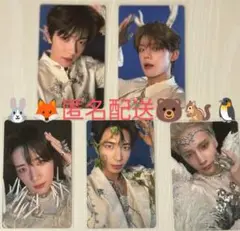 TXT TOGETHER ウィバース ウィバショ 5形態特典 トレカ コンプ