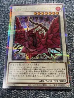 遊戯王ブラック・ローズ・ドラゴン　25th クオシク