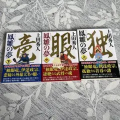 風雲の夢 上・中・下 3冊セット