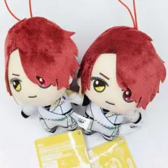 カイン きらどるぬいぐるみ 盛装 魔法使いの約束 ナムコ限定 マスコット 2点