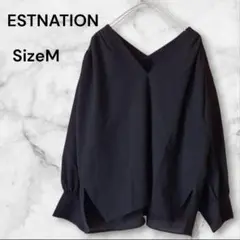 Item thumbnail for item 26255a71-d922-43e6-b015-75f3ea72df75