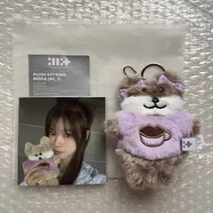 2025年最新】ILLIT モカ ぬいぐるみの人気アイテム - メルカリ