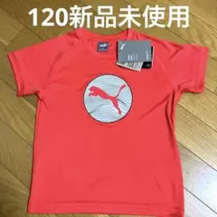 プーマジュニアグラフィック tシャツ120新品未使用