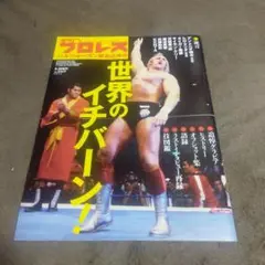 週刊プロレス　ハルクホーガン緊急追悼号　新日本プロレス　アントニオ猪木