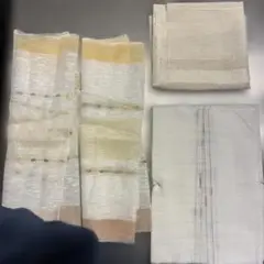 Item thumbnail for item 39e228fe-bb90-4b32-a69f-a48e10a40ba7