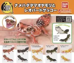 いきもの大図鑑レプティ　レオパードゲッコー(レーダー) 新品未開封