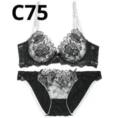 Item thumbnail for item 72b842e4-024f-48bc-b61e-b0bdce5c40ff