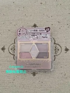 【新品・未使用】キャンメイク パーフェクト スタイリスト アイズ 17 ✨️.