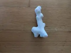 サンゴ