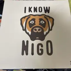 I KNOW NIGO KAWS VINYL 限定版 アナログレコード