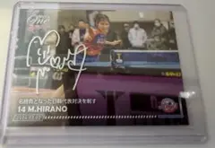 Item thumbnail for item 15b2ed48-74f1-4edf-8279-b0250ca2fe97