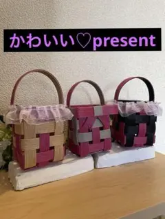 1♫ カゴバック小　２個セット（お任せ多肉付き）