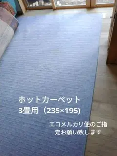 堀ごたつ 専用　2.5畳　ホットカーペット　KM-257SK　日本電熱 NEOT 7039812.jpg