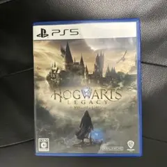 Hogwarts Legacy PS5版