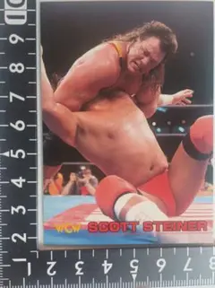 WWE マテル スコット スタイナー プロレス フィギュア スタイナー・ブラザーズ WWE フィギュア アルティメット