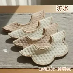 Item thumbnail for item a8f16568-c40d-4892-9492-1a2dcf7bb7bb