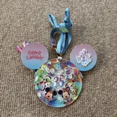 ディズニー　35周年　パスケース
