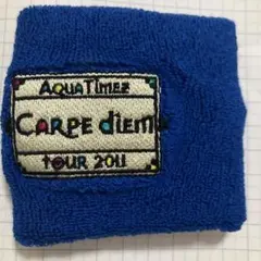 Aqua Timez CARPE DIEM TOUR 2011 リストバンド
