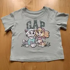 GAP パウパトロール　スカイTシャツ110