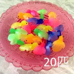 金魚すくい 金魚のみ20匹 即購入OK