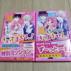野いちごジュニア文庫　見えちゃうなんて、きいてません！ 2冊セット