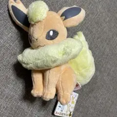 ブースター パステルカラー ぬいぐるみ タグ付き