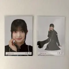 Item thumbnail for item 5d062beb-55a9-43e0-815d-572ca726620b