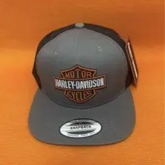 Item thumbnail for item a4f16da1-1947-4955-9a4d-b59c0a33db61