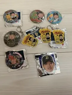 渡邉選手 缶バッジ、キーホルダー 9個セット