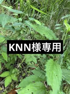 好きだよグッドボーイ