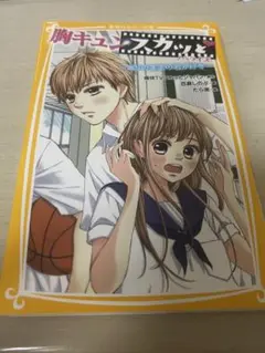 胸キュンスカッと ノベライズ