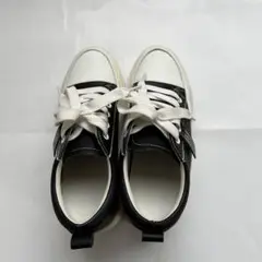Item thumbnail for item fb6f417a-56d9-4ee3-a7f9-337f07f25bf0
