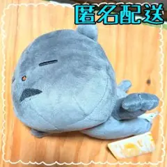 Item thumbnail for item bdd8b3d8-c186-418f-91a3-c17753585025