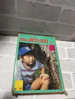 生きものの観察と飼育