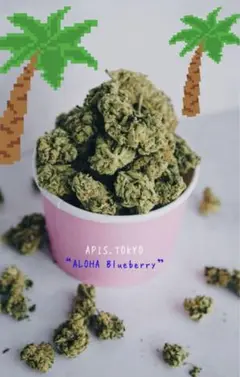 “ALOHA” Blueberry(1ml)