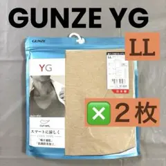 40/1【GUNZEYG】日本製カットオフ脇パット付きVネックTシャツ LL２枚