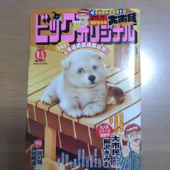 ビッグコミックオリジナル 2025年7号