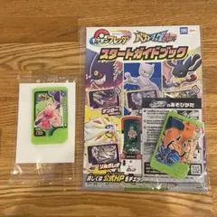 ポケモンフレンダ　ベストタッグ　リザードン
